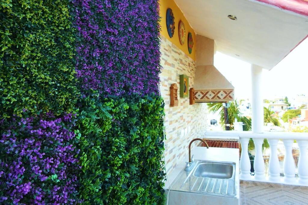 Casa El Quinto Elemento, Departamento Tierra! Apartamento Ilha das Mulheres Exterior foto