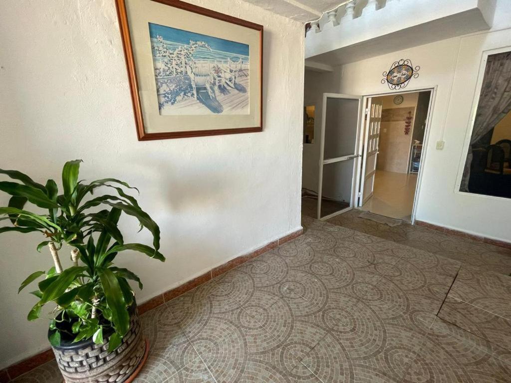 Casa El Quinto Elemento, Departamento Tierra! Apartamento Ilha das Mulheres Exterior foto